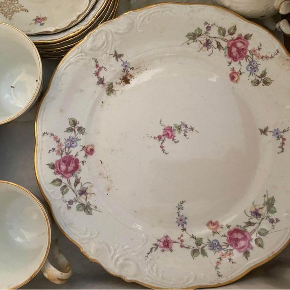 Sheraton Rose Walbrzych Fine China of Poland pattern 9025 1950s mid century - Picture 1 of 10